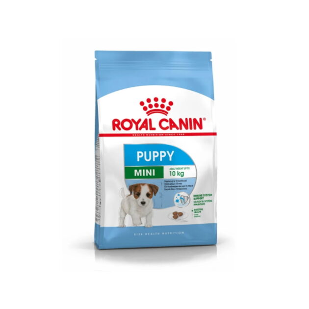 Purina ONE Chicken and Rice Formula Dry Dog Food