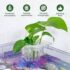 PLANT HOLDER ( 2 pcs)