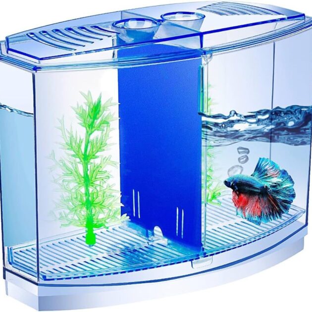 BETTA BOX
