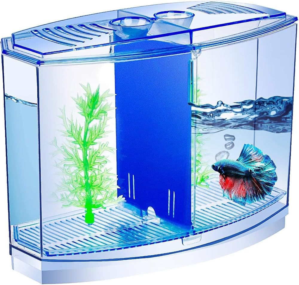 BETTA BOX