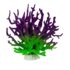 LMC PURPLE GREEN CORAL
